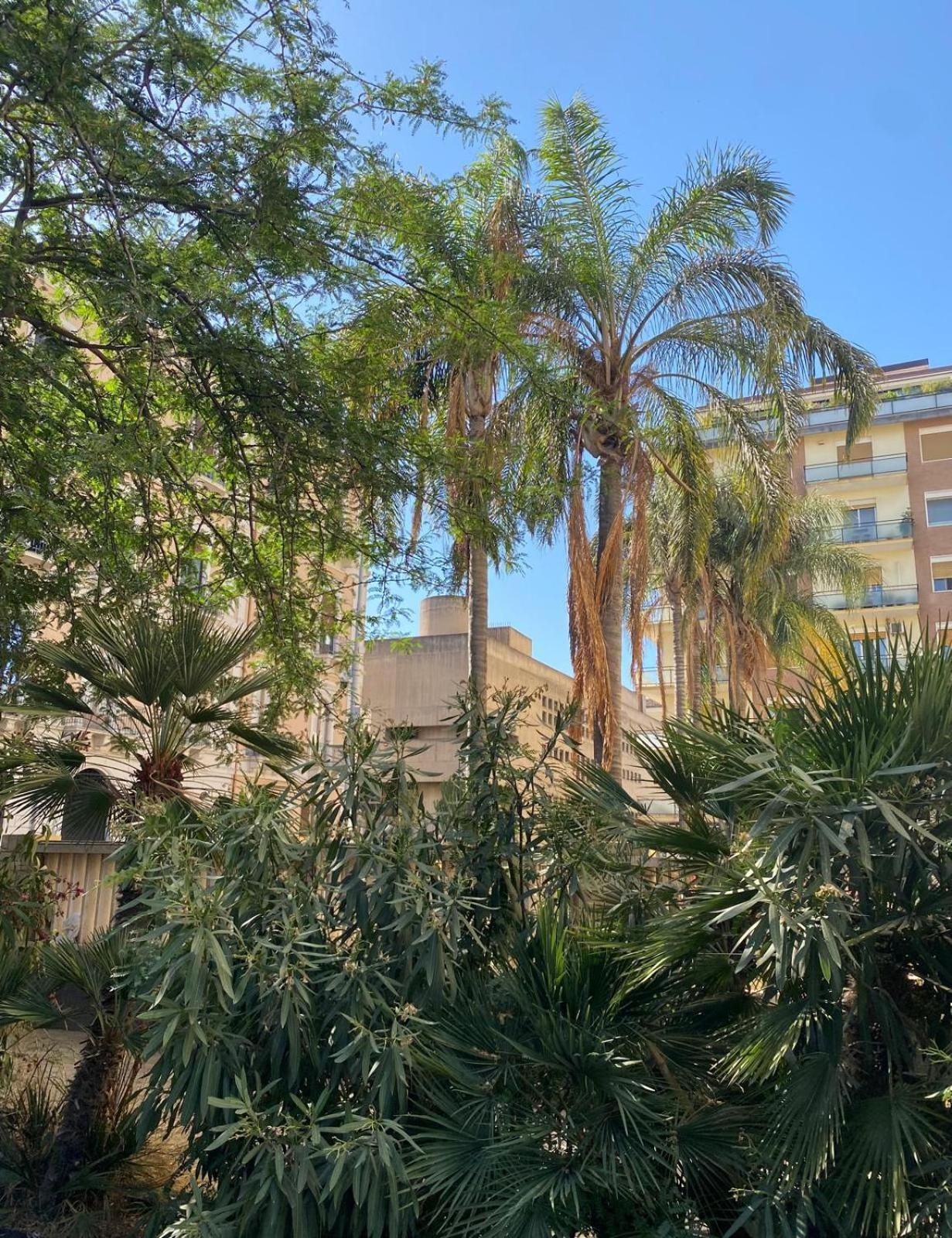 קטאניה Maison Ruggero מראה חיצוני תמונה